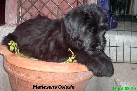 Det g�ller att gilla l�get